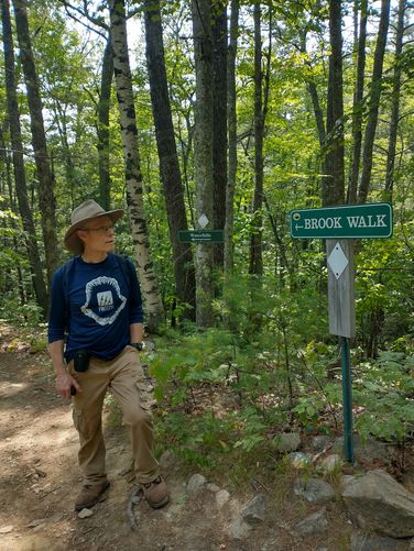 Access to the Brook Walk from the Shannon Brook Trail 