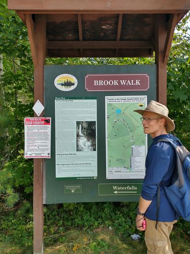 Learn some history about the falls at the Brook Walk Information kiosk 