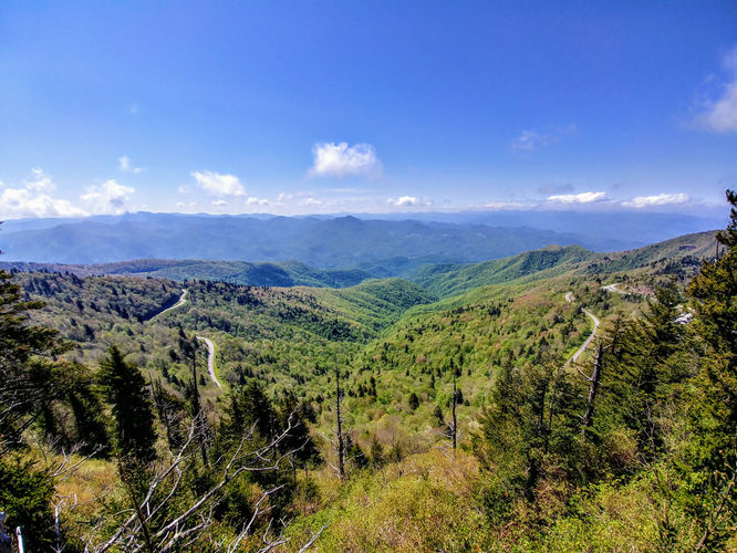 Picture 2 of Waterrock Knob Hike 052017