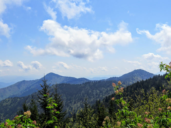 Picture 11 of Waterrock Knob Hike 052017