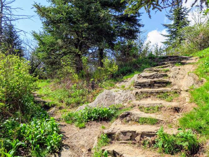 Picture 12 of Waterrock Knob Hike 052017