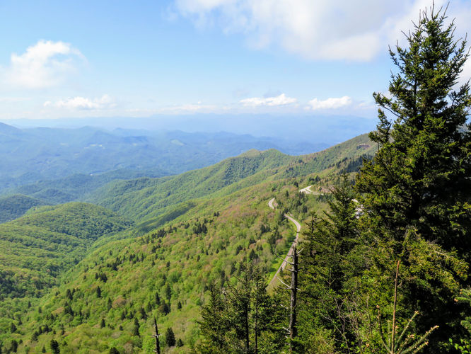 Picture 13 of Waterrock Knob Hike 052017