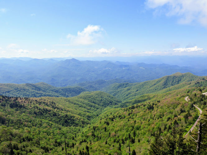 Picture 14 of Waterrock Knob Hike 052017