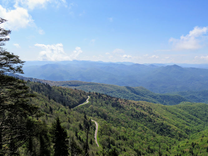 Picture 15 of Waterrock Knob Hike 052017