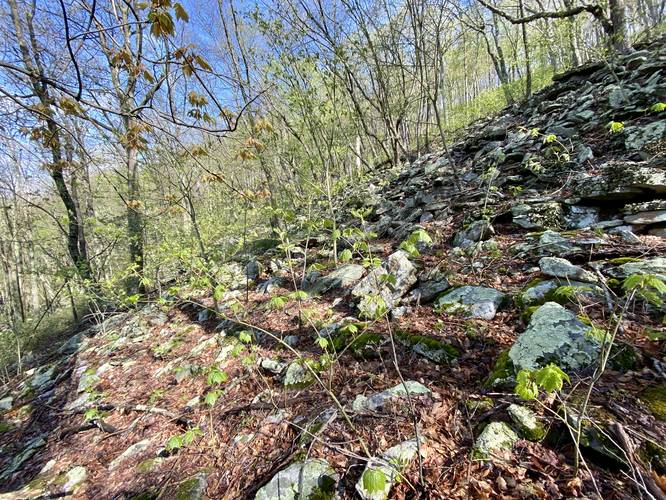 Very steep mountain boulder field