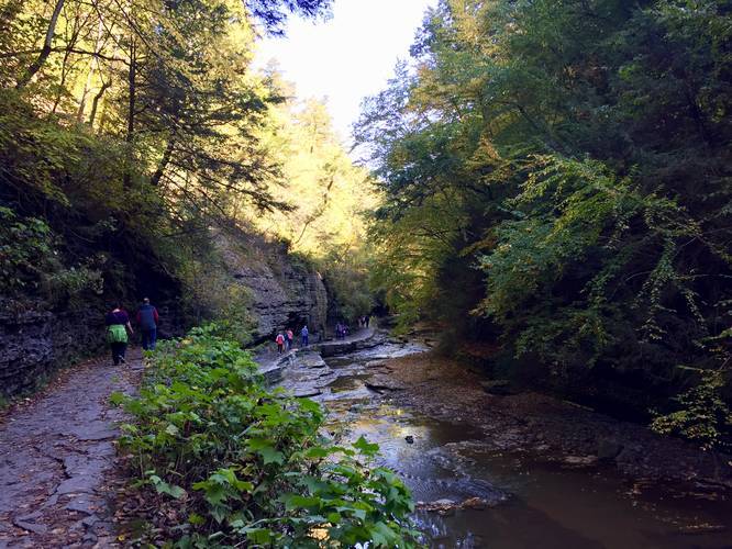 Picture 19 of Watkins Glen Gorge Trail October 2019