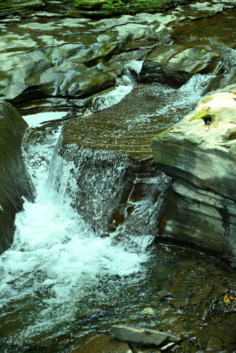 Picture 2 of Watkins Glen hikes
