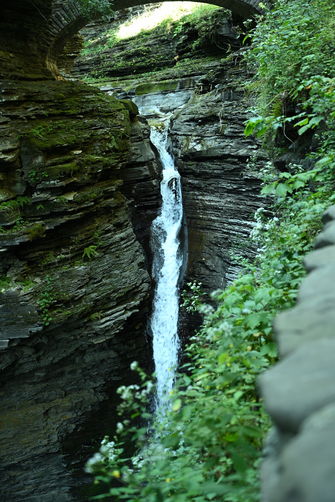 Picture 3 of Watkins Glen hikes