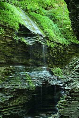 Picture 4 of Watkins Glen hikes