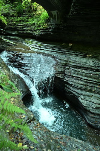 Picture 6 of Watkins Glen hikes