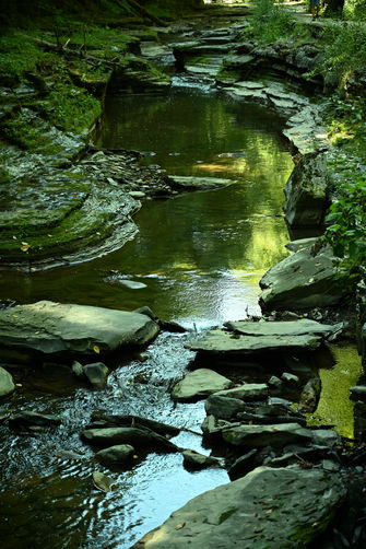 Picture 8 of Watkins Glen hikes