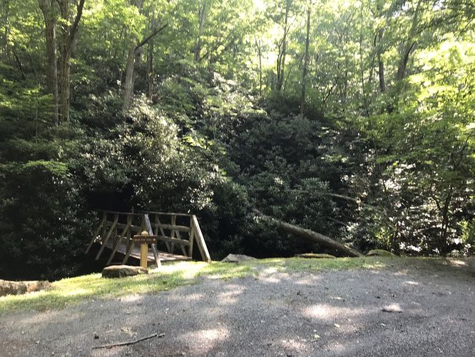 Picture 2 of Watoga State Park Hike 072719