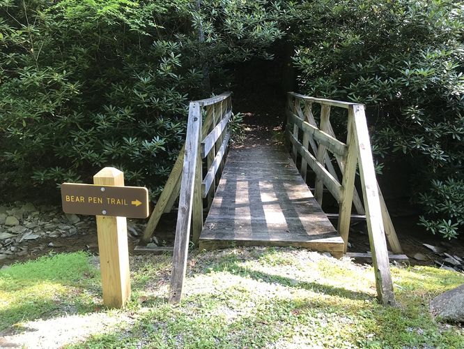 Picture 3 of Watoga State Park Hike 072719