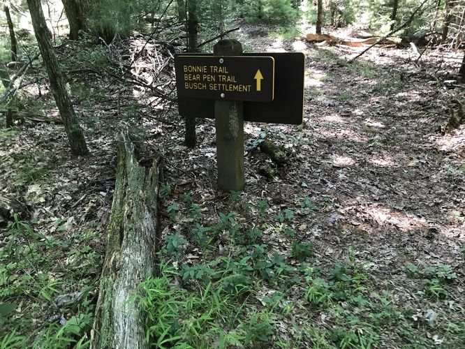 Picture 6 of Watoga State Park Hike 072719