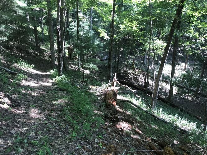 Picture 7 of Watoga State Park Hike 072719