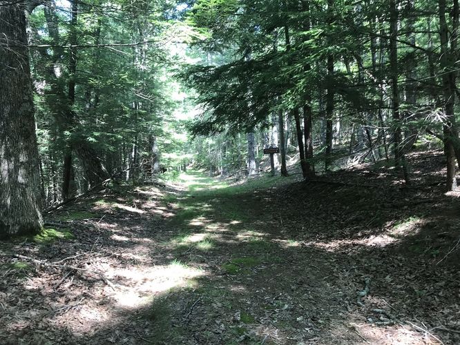 Picture 8 of Watoga State Park Hike 072719