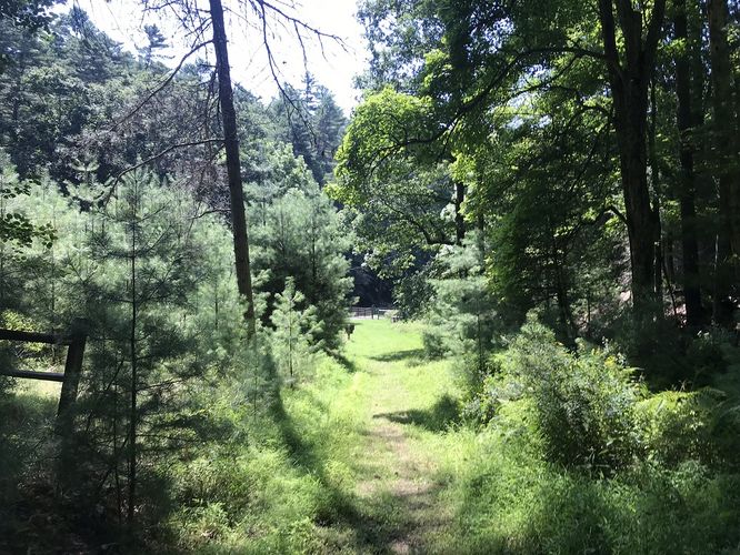 Picture 9 of Watoga State Park Hike 072719