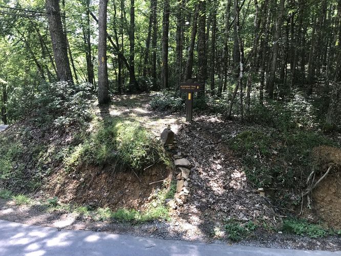 Picture 12 of Watoga State Park Hike 072719