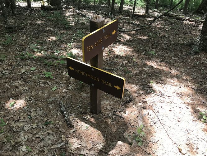 Picture 16 of Watoga State Park Hike 072719