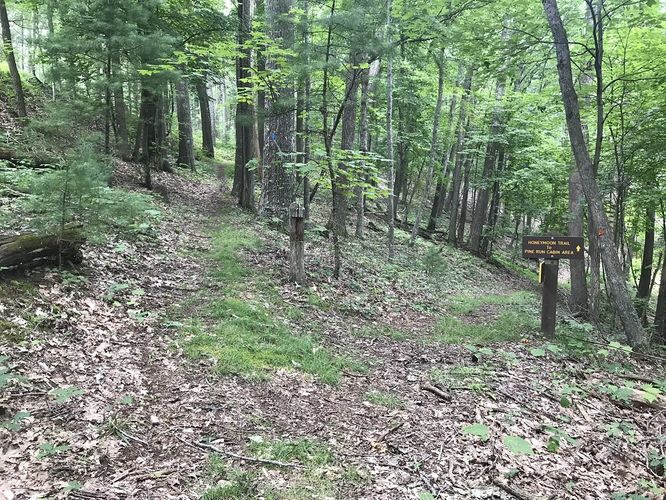 Picture 17 of Watoga State Park Hike 072719