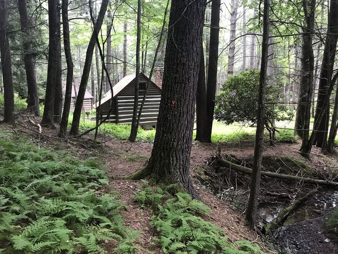 Picture 19 of Watoga State Park Hike 072719