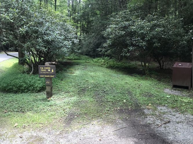 Picture 21 of Watoga State Park Hike 072719