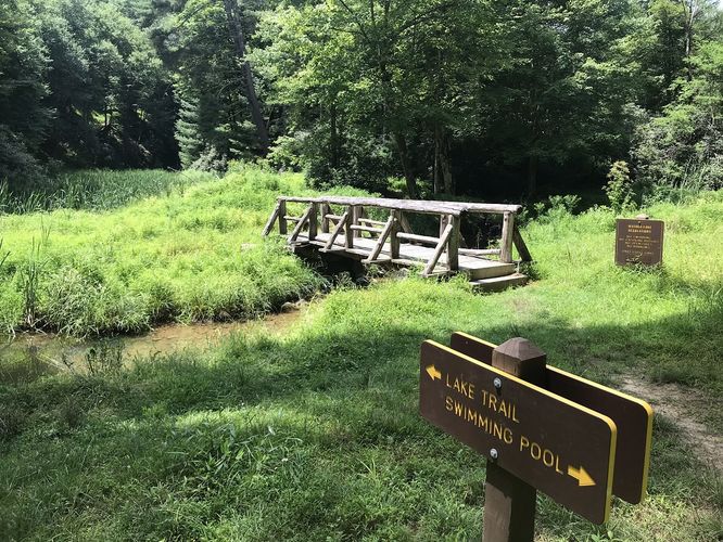 Picture 28 of Watoga State Park Hike 072719