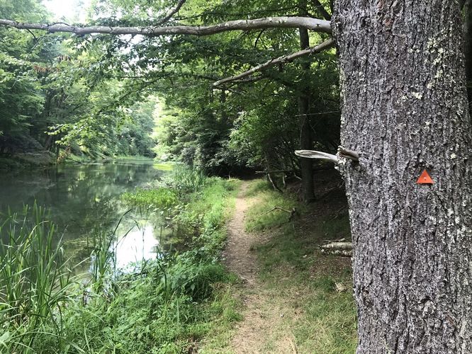 Picture 29 of Watoga State Park Hike 072719