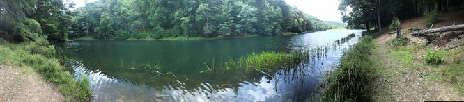 Picture 30 of Watoga State Park Hike 072719