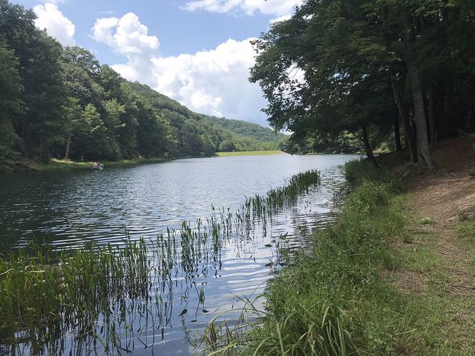 Default image for Watoga State Park Hike, a 9.3-mile trail in Watoga, WV (US)
