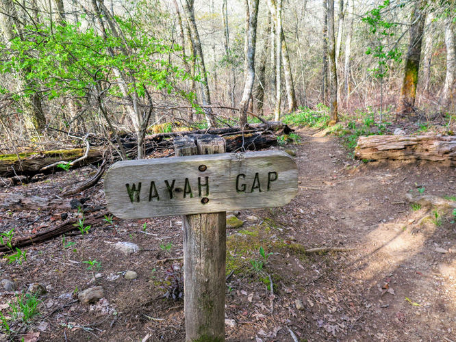 Picture 5 of Wayah Bald Hike 042917