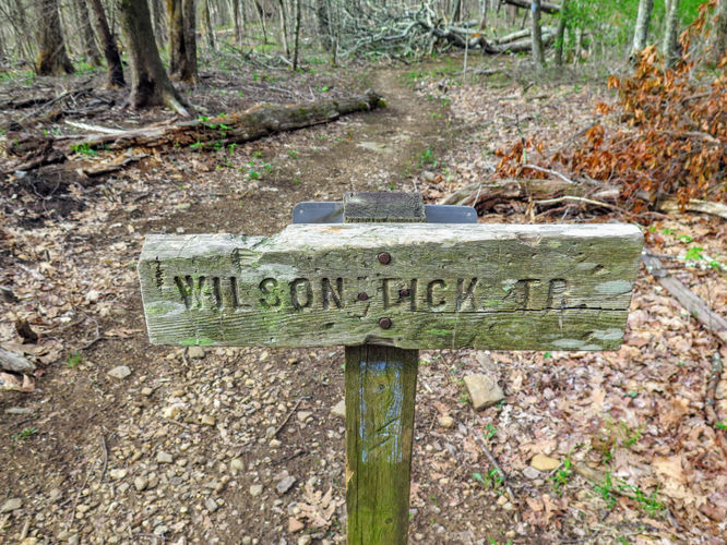 Picture 9 of Wayah Bald Hike 042917
