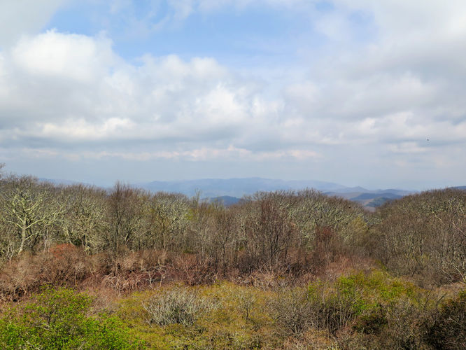 Picture 22 of Wayah Bald Hike 042917