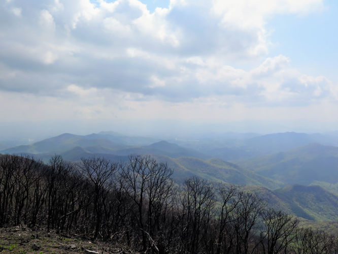 Picture 24 of Wayah Bald Hike 042917