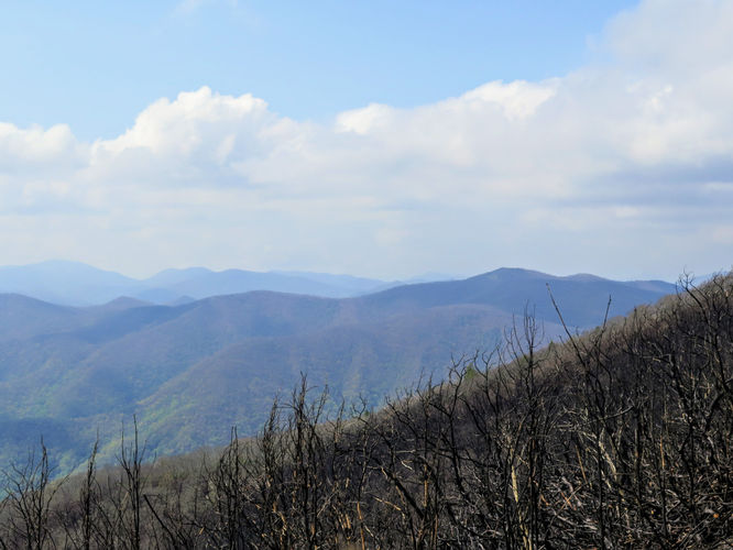 Picture 27 of Wayah Bald Hike 042917
