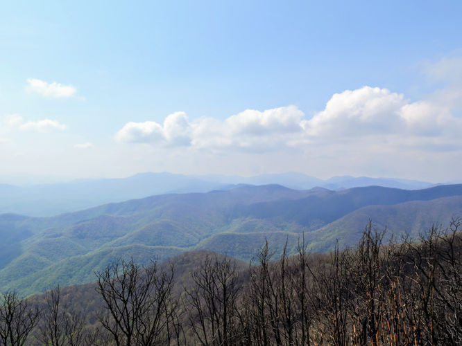 Picture 33 of Wayah Bald Hike 042917
