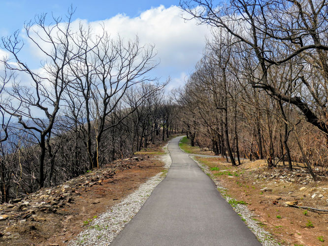 Picture 34 of Wayah Bald Hike 042917
