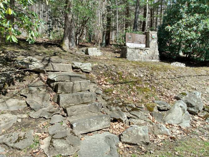 Stone Steps to Picnic Area