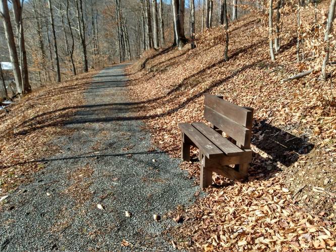 Bench Rest along Trail