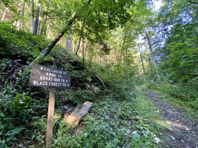 Right-hand turn to hike Naval Run Trail