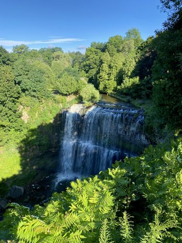 Webster Falls (approx. 22-meters / 72-feet)