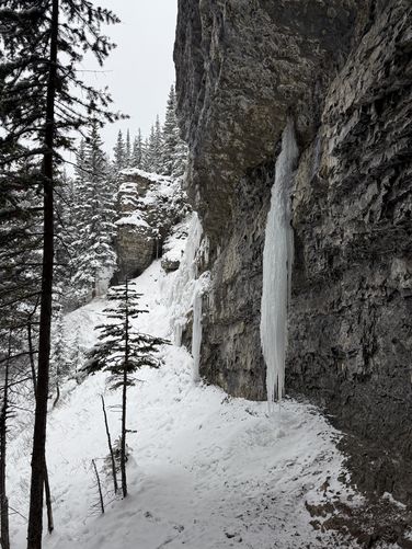 Picture 5 of Wedge Smear 11282025