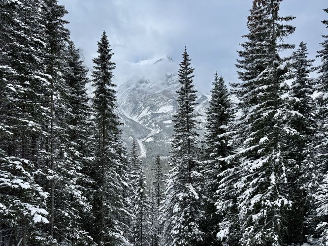 Picture 18 of Wedge Smear 11282025