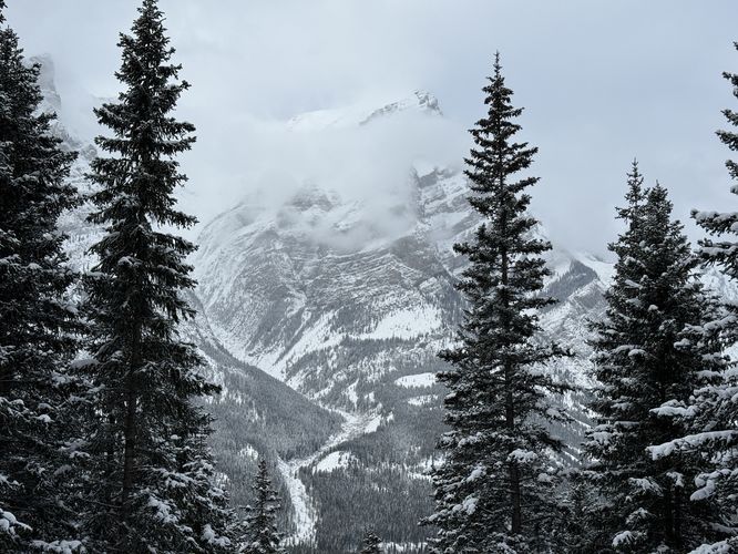 Picture 19 of Wedge Smear 11282025