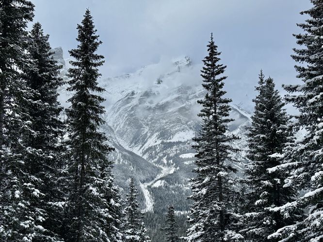 Picture 22 of Wedge Smear 11282025