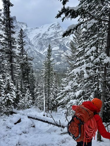 Picture 23 of Wedge Smear 11282025