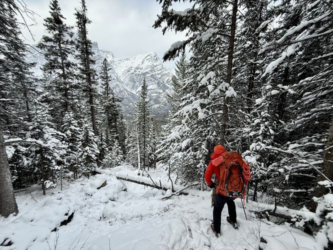 Picture 24 of Wedge Smear 11282025