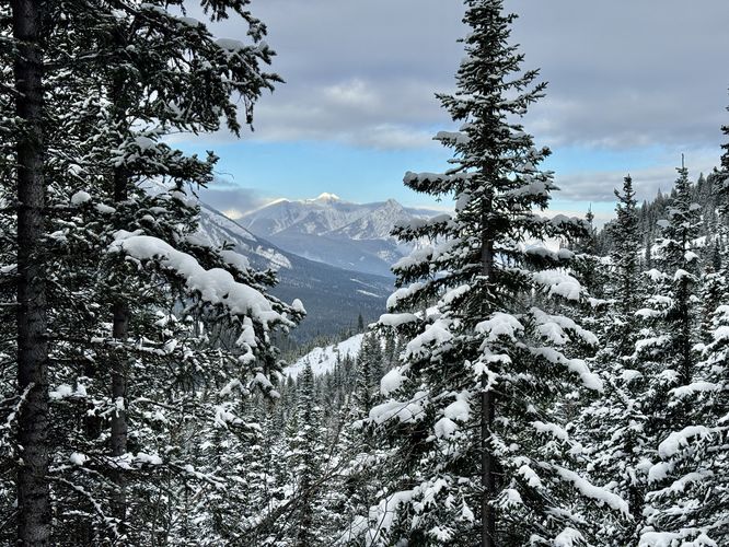 Picture 25 of Wedge Smear 11282025