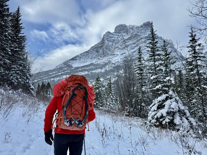 Picture 26 of Wedge Smear 11282025