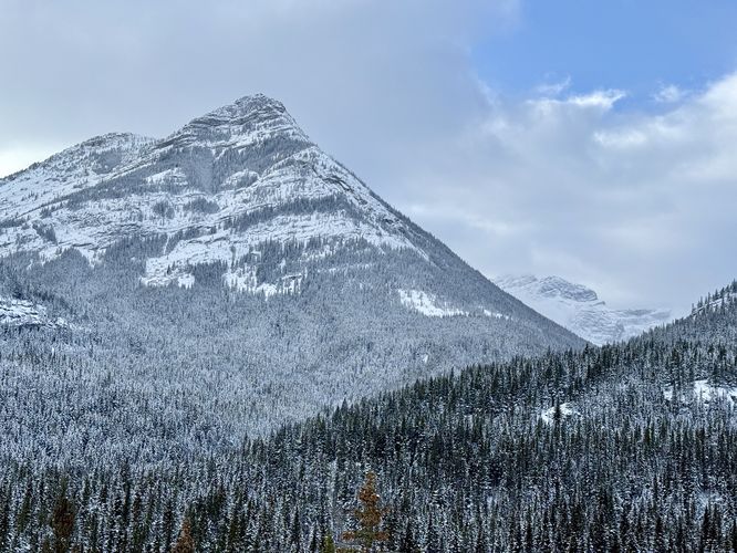 Picture 28 of Wedge Smear 11282025